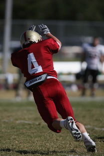 ac米兰足球队-中超球队重点对手研究频率分布，中超球队实力分析