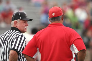 米兰体育app官网-意甲裁判语义分析辅助判罚准确性的应用探讨，意甲 裁判