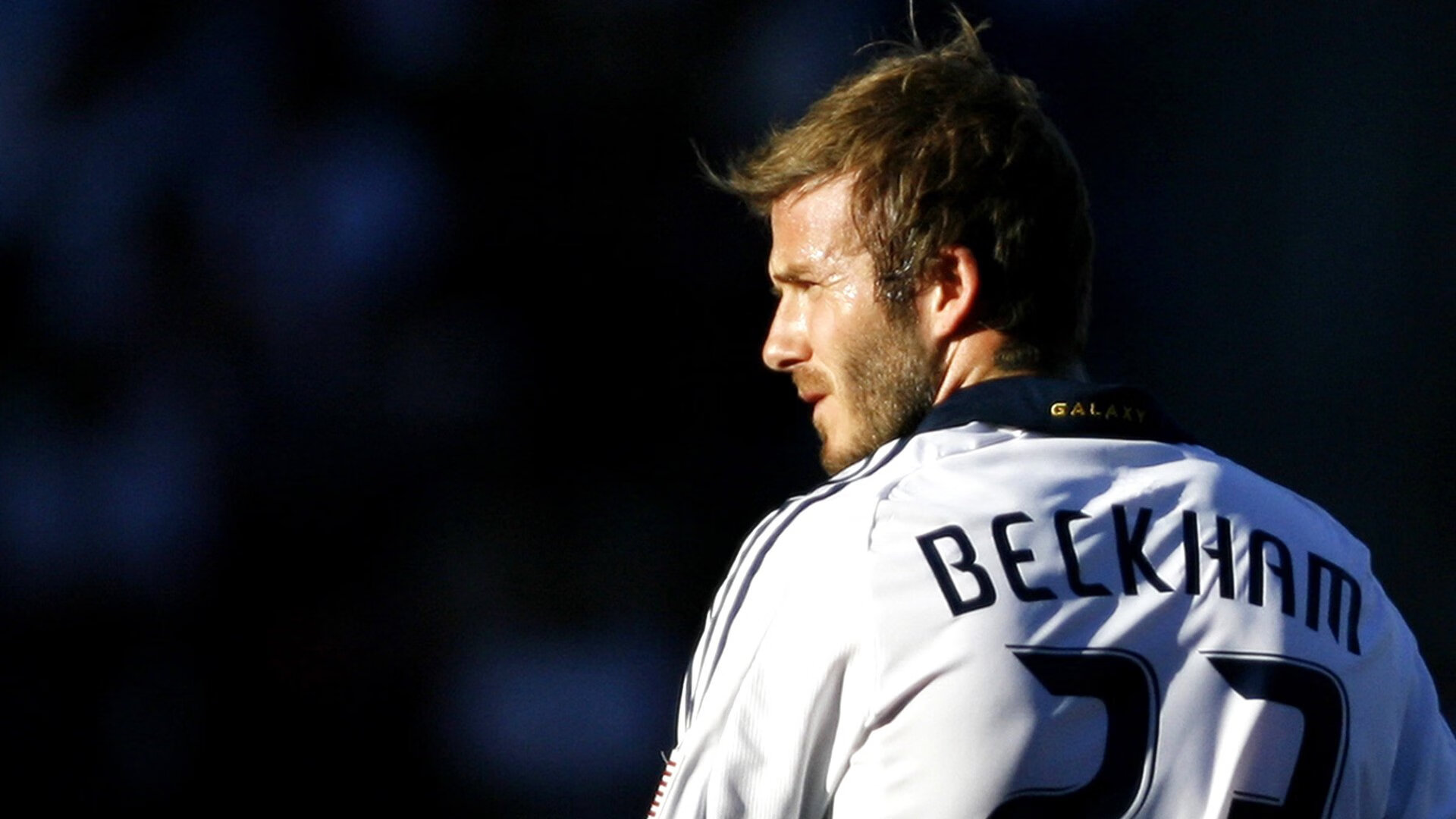 体育赛事观众增长情况